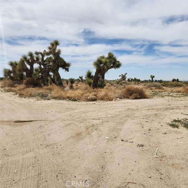 Detail Gallery Image 9 of 10 For 0 Sheep Creek, Phelan,  CA 92371 - – Beds | – Baths