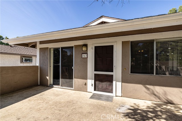 267 Gazania Court photo 4