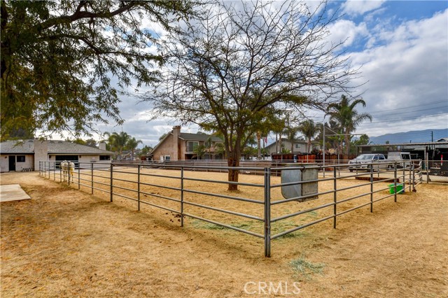 Detail Gallery Image 29 of 41 For 2354 Corydon, Norco,  CA 92860 - 4 Beds | 2 Baths