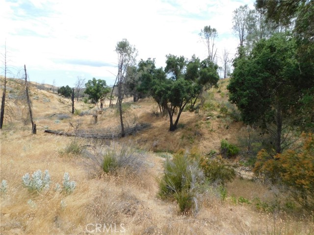 9890 Huer Huero Road, Creston, California 93432, ,Land,For Sale,9890 Huer Huero Road,CRNS23140865