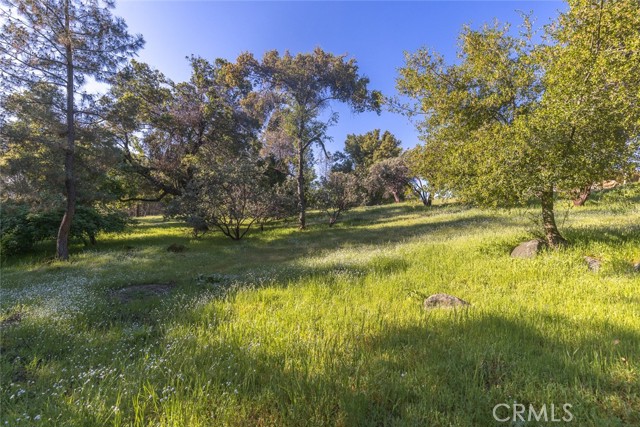 Detail Gallery Image 41 of 49 For 4467 Triangle Rd, Mariposa,  CA 95338 - 2 Beds | 2 Baths