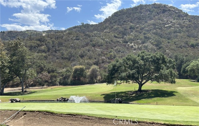 Detail Gallery Image 35 of 35 For 29092 Laurel Valley, Vista,  CA 92084 - 3 Beds | 2/1 Baths