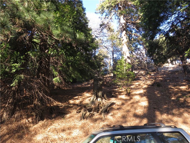 0 Peak Circle, Cedarpines Park, California 92322, ,Land,For Sale,0 Peak Circle,CRCV23013750