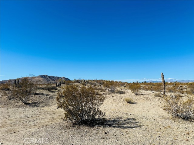 Detail Gallery Image 10 of 11 For 24 Avenida Del Sol, Joshua Tree,  CA 92252 - – Beds | – Baths