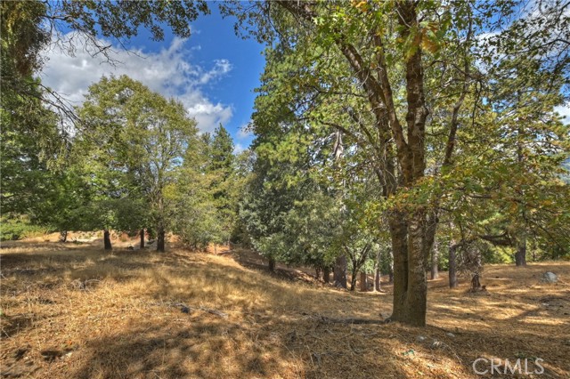 Detail Gallery Image 27 of 37 For 152 Weisshorn Dr, Crestline,  CA 92325 - 3 Beds | 2 Baths