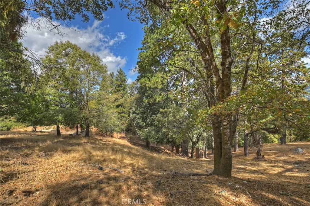 27B7D163 B1C3 4C1B 9Bcc 011085B7Ce73 152 Weisshorn Drive, Crestline, Ca 92325 &Lt;Span Style='BackgroundColor:transparent;Padding:0Px;'&Gt; &Lt;Small&Gt; &Lt;I&Gt; &Lt;/I&Gt; &Lt;/Small&Gt;&Lt;/Span&Gt;