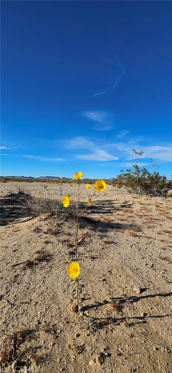 Detail Gallery Image 4 of 5 For 800 Valle Vista Rd., Twentynine Palms,  CA 92277 - – Beds | – Baths