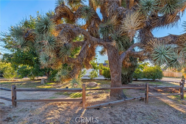 Detail Gallery Image 39 of 43 For 7914 Grand, Yucca Valley,  CA 92284 - 3 Beds | 2 Baths