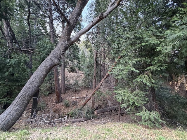 Detail Gallery Image 3 of 12 For 0 Hook Creek, Cedar Glen,  CA 92321 - – Beds | – Baths