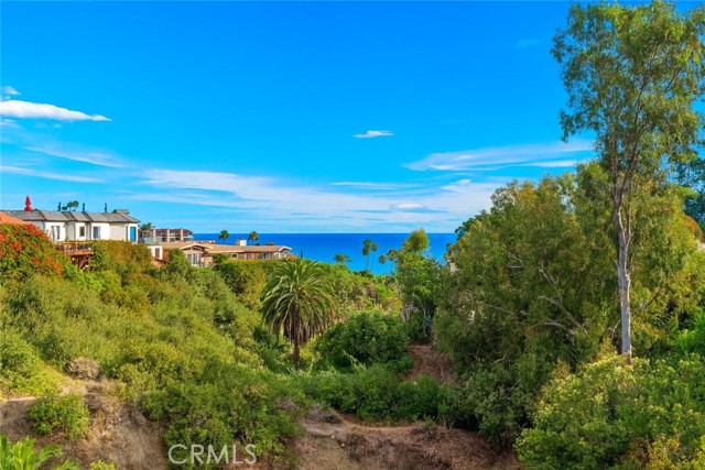 237 W Avenida Alessandro, San Clemente CA: https://media.crmls.org/medias/27bc5b79-8f08-4d30-a20a-a12bd2cd605e.jpg