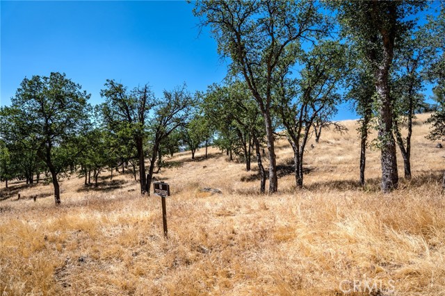 0 Armed Court, Tehachapi CA: https://media.crmls.org/medias/27c21223-3f8b-44f0-91d2-8dc41831efef.jpg