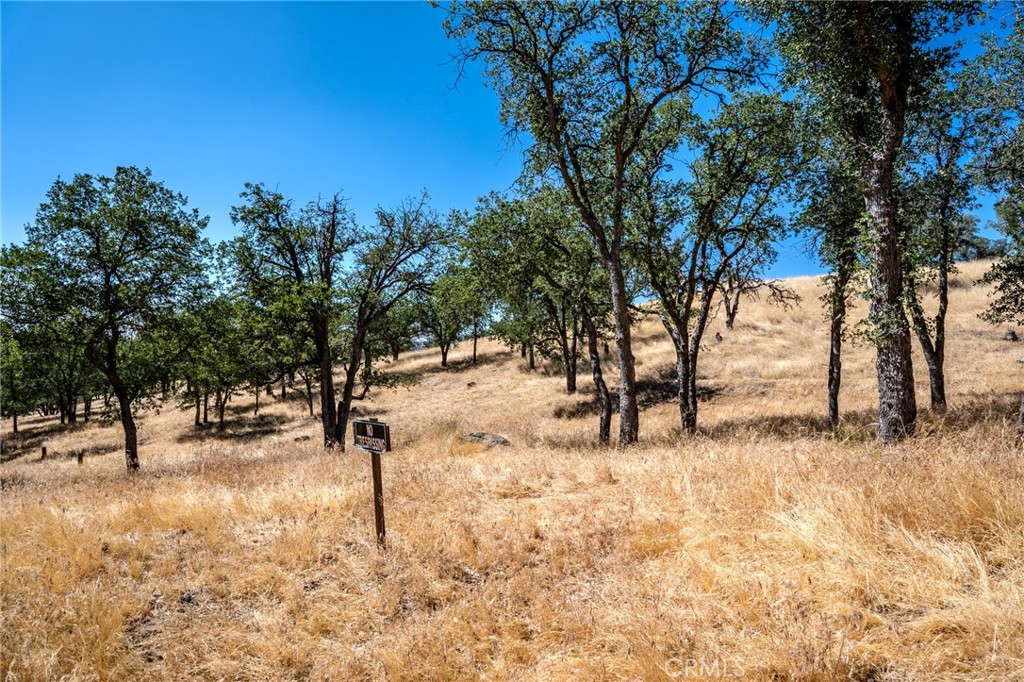 MLS #PI25150559 img 3