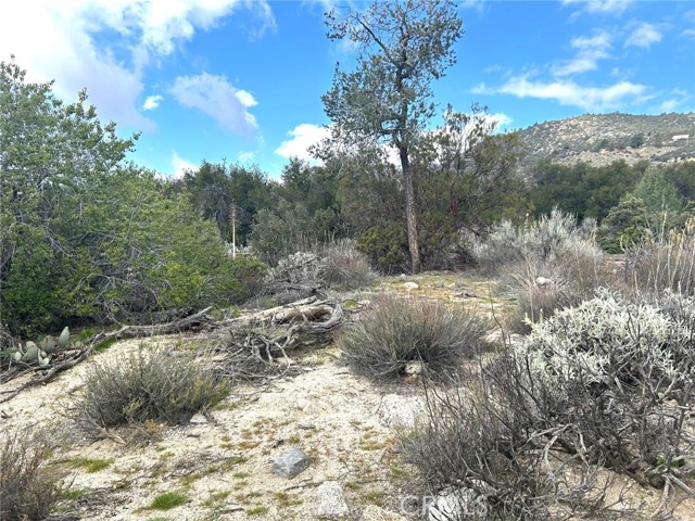 Detail Gallery Image 22 of 29 For 0 Oak Rd, Anza,  CA 92539 - – Beds | – Baths