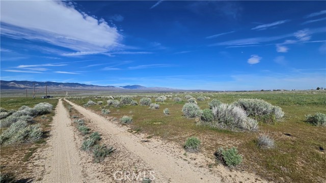 Detail Gallery Image 11 of 36 For 0 Vicinity Ave B12 & 265th St W, –,  CA 93536 - – Beds | – Baths