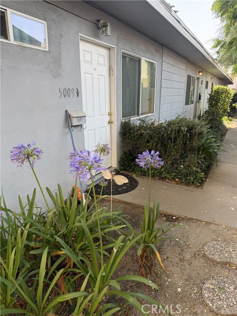 Front Image Thumbnail for CRSR26179099
