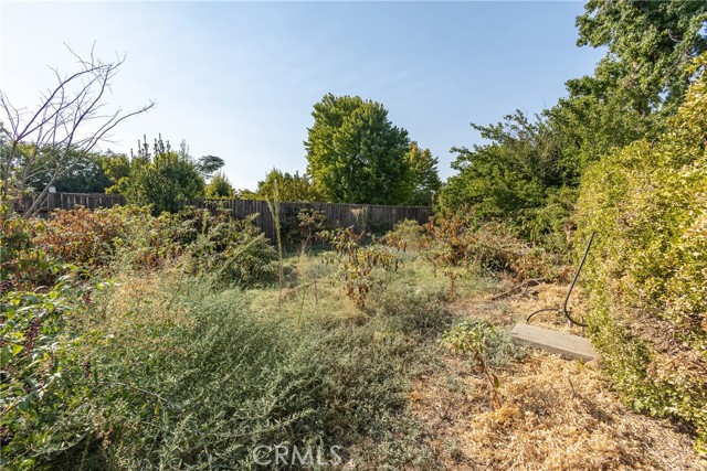 1259 Glenn Haven Drive, Chico CA: https://media.crmls.org/medias/27d8f00e-036a-4188-adb0-e9aba6342bc6.jpg
