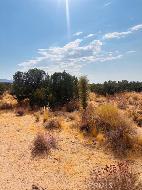 Front Image Thumbnail for CRCV26180415