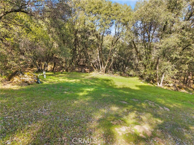 Detail Gallery Image 27 of 32 For 1371 Moccasin Trl, Placerville,  CA 95667 - – Beds | – Baths