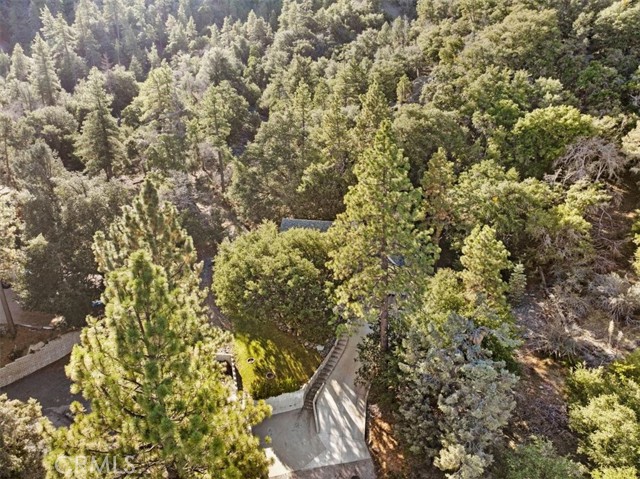 Detail Gallery Image 47 of 48 For 1764 Ash, Wrightwood,  CA 92397 - 4 Beds | 2/1 Baths