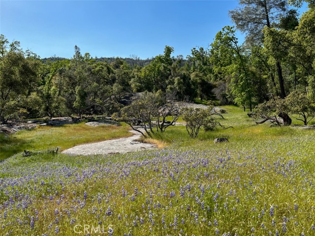 Detail Gallery Image 68 of 70 For 4683 Morningstar Ln, Mariposa,  CA 95338 - – Beds | – Baths