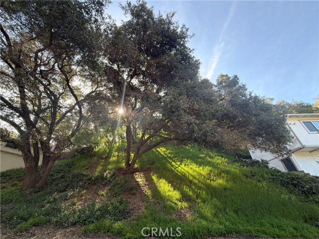 Detail Gallery Image 5 of 7 For 2430 Drury Ln, Glendale,  CA 91206 - – Beds | – Baths