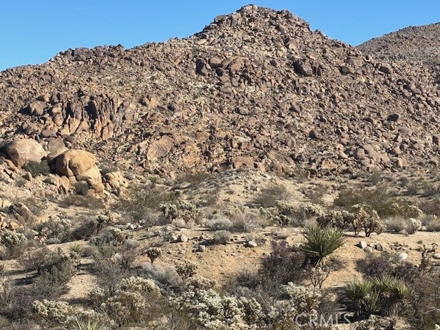 Front Image Thumbnail for CRJT25266453