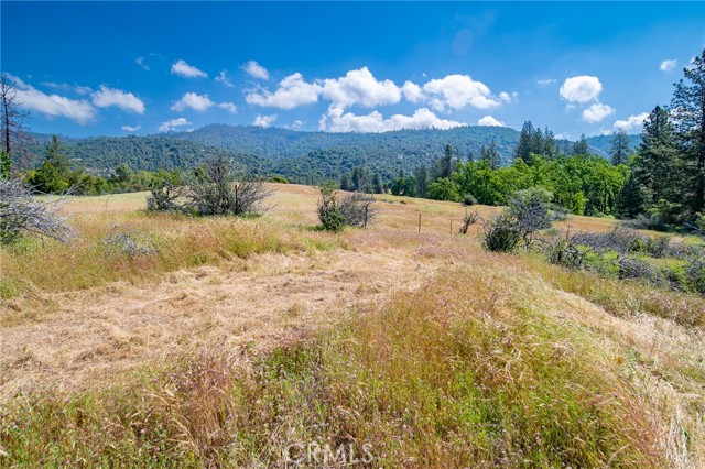Detail Gallery Image 16 of 74 For 3122 Triangle Park Rd, Mariposa,  CA 95338 - 2 Beds | 1 Baths