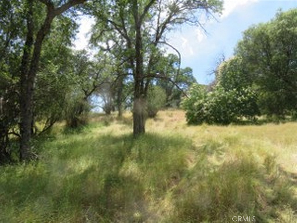 0 Lookout Mountain Drive, Coarsegold, CA 93614