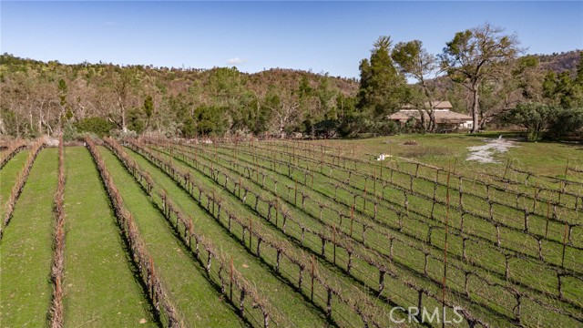 Detail Gallery Image 2 of 70 For 4683 Morningstar Ln, Mariposa,  CA 95338 - – Beds | – Baths