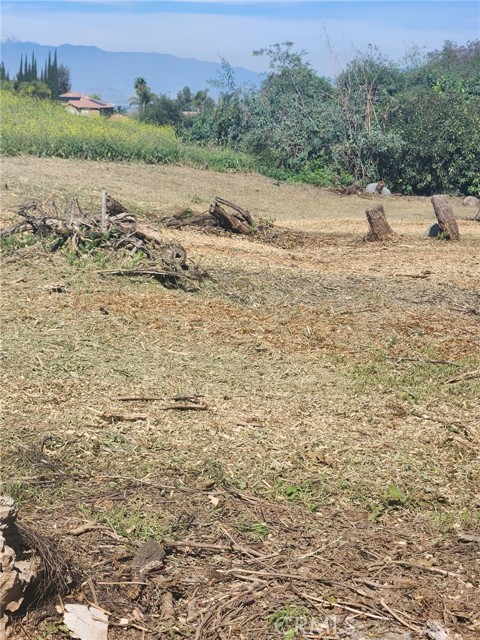 Detail Gallery Image 6 of 7 For 0 Mcallister St., Riverside,  CA 92503 - – Beds | – Baths