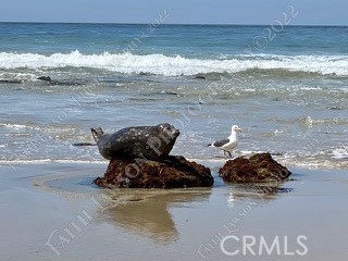 Detail Gallery Image 31 of 32 For 34134 Selva Road #248,  Dana Point,  CA 92629 - 3 Beds | 2 Baths