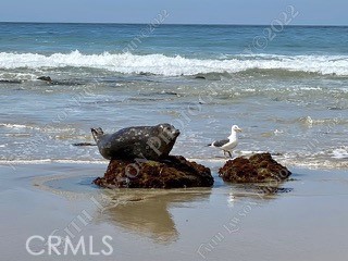 https://media.crmls.org/medias/28074a76-22f3-41db-9982-61f79980cf97.jpg?preset=X-Large