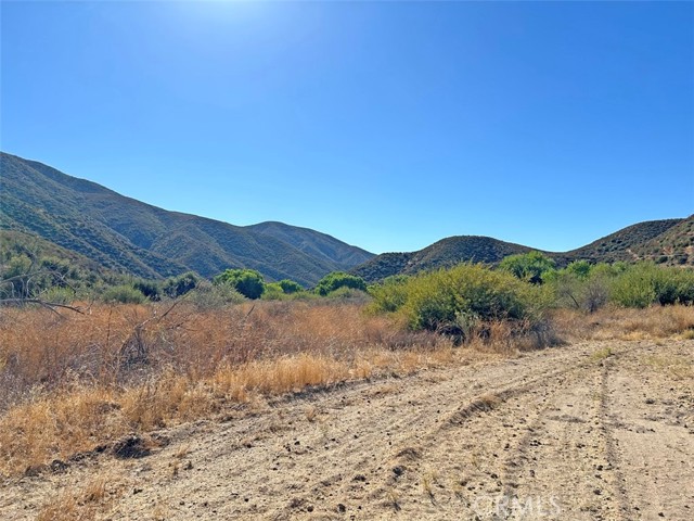 Detail Gallery Image 39 of 43 For 42930 Lake Hughes Rd, Lake Hughes,  CA 93532 - 5 Beds | 4 Baths