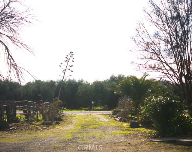 Detail Gallery Image 24 of 66 For 6156 County Road 14, Orland,  CA 95963 - 2 Beds | 1 Baths