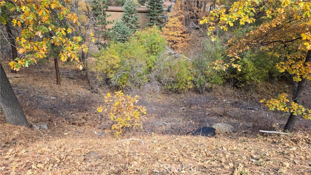 Front Image Thumbnail for CRIG25251604