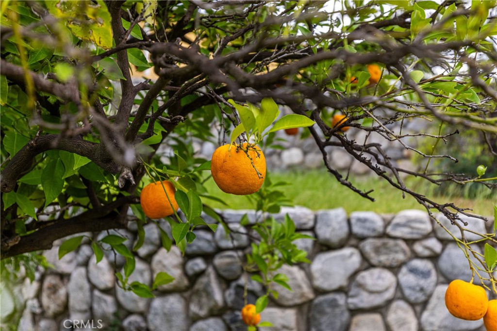 https://media.crmls.org/medias/2819c613-76d3-41de-833f-a0b4536787d9.jpg?preset=X-Large