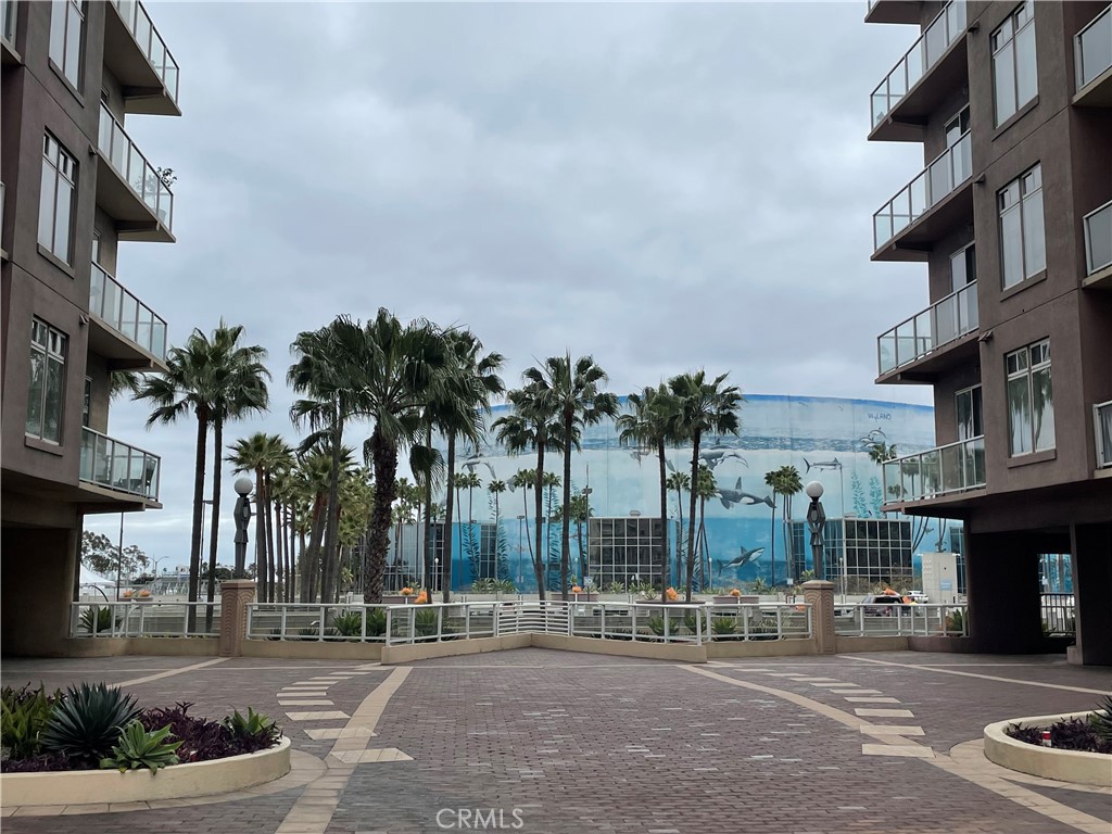 488 E Ocean #1518
