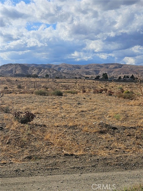 Detail Gallery Image 2 of 3 For 0 Vic Cima Mesa 104 St, –,  CA 93543 - – Beds | – Baths