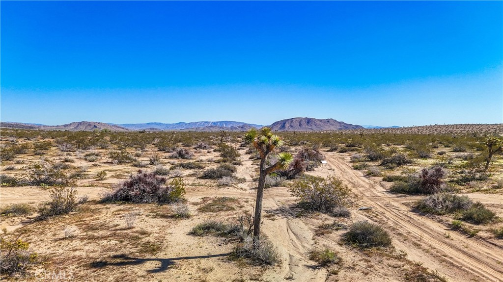 MLS #JT25078936 image #21