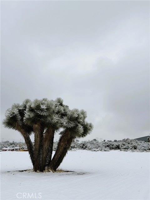 8686 Capelin Road, Phelan CA: https://media.crmls.org/medias/282dc28e-ac7f-4777-aef8-4d601950004b.jpg