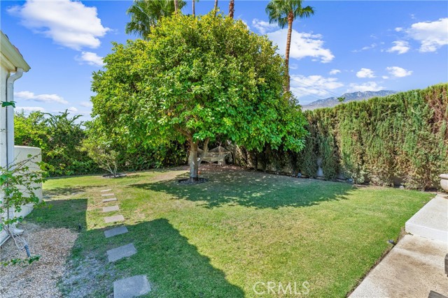1045 E Deepak Road, Palm Springs CA: https://media.crmls.org/medias/2837bfaa-8963-4774-9e41-097f9c22047c.jpg