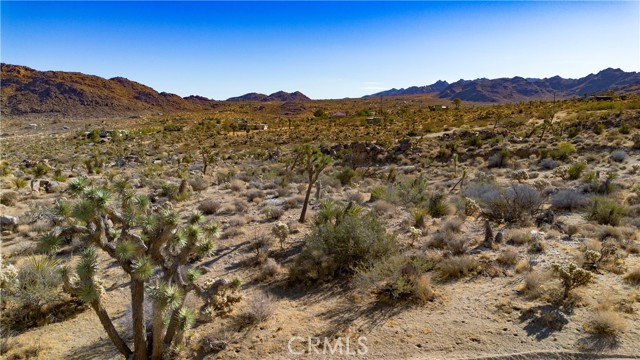 Detail Gallery Image 42 of 53 For 8775 via Rocosa Rd, Joshua Tree,  CA 92252 - 3 Beds | 2/1 Baths