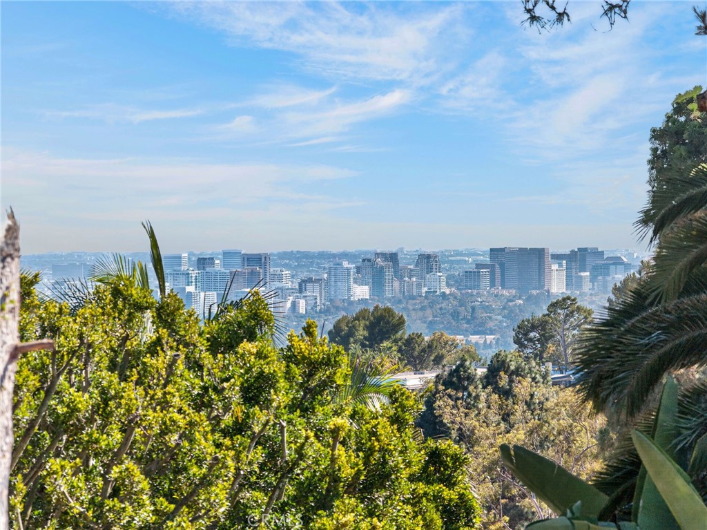 Thumbnail 41