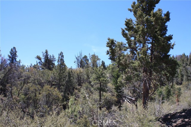 Detail Gallery Image 12 of 55 For 615 Kean Way, Big Bear City,  CA 92314 - – Beds | – Baths