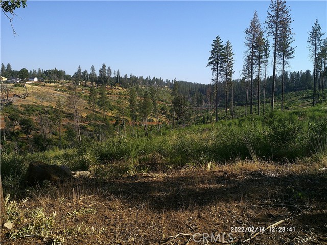 1832 Lillian, Paradise, CA, 95969 1832 Lillian, Paradise, CA, 95969