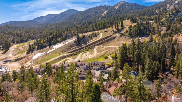 Detail Gallery Image 43 of 50 For 1362 Balsam Dr, Big Bear Lake,  CA 92315 - 4 Beds | 3 Baths