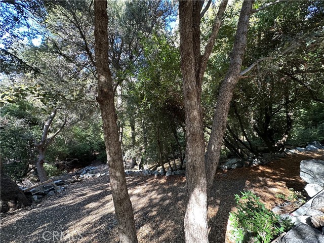 Detail Gallery Image 29 of 32 For 49 Ice House Canyon Rd, Mt Baldy,  CA 91759 - 1 Beds | 1 Baths