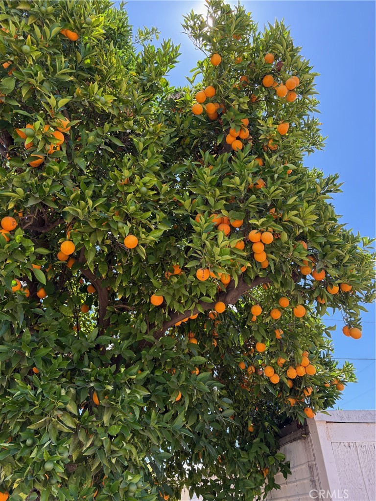 https://media.crmls.org/medias/28576392-058b-48b4-967e-0f2b3458e653.jpg?preset=X-Large