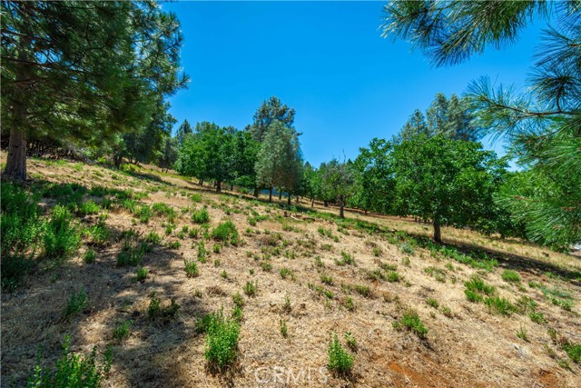 Detail Gallery Image 51 of 75 For 3126 Edgewood Drive, Kelseyville,  CA 95451 - – Beds | – Baths
