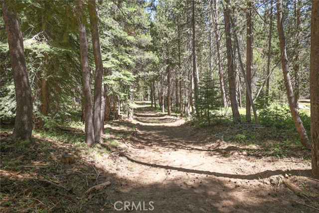 67922 Beasore Road, Bass Lake CA: https://media.crmls.org/medias/28602c14-4404-4ede-ba9f-a84eabc794dc.jpg